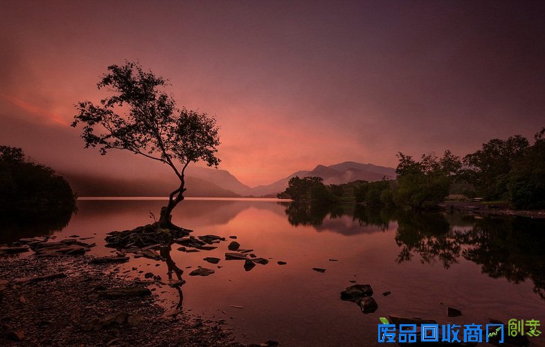 外媒眼中的2016年最佳图片 是图还是画傻傻分不清楚