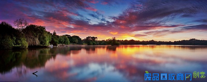 外媒眼中的2016年最佳图片 是图还是画傻傻分不清楚