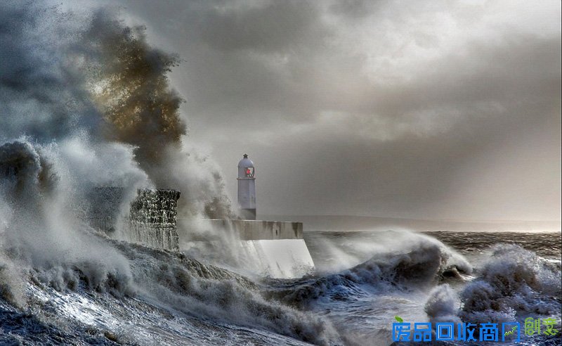 外媒眼中的2016年最佳图片 是图还是画傻傻分不清楚