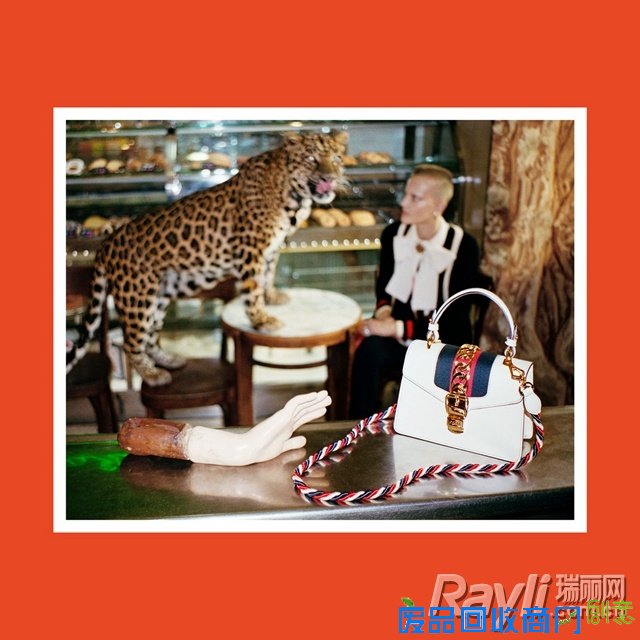 Gucci 2017 春夏系列广告形象大片
