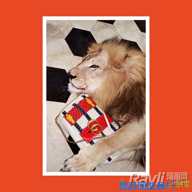 Gucci 2017 春夏系列广告形象大片