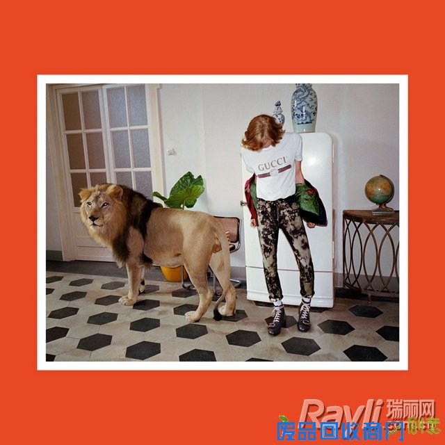 Gucci 2017 春夏系列广告形象大片