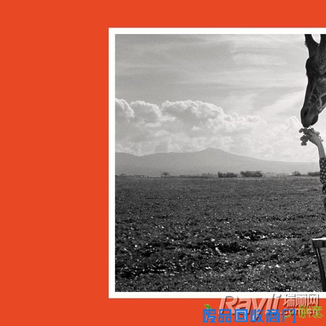 Gucci 2017 春夏系列广告形象大片