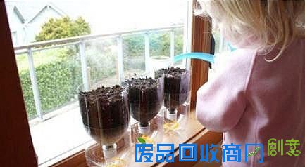 可乐瓶种菜方法 用可乐瓶制作花瓶 图解教程 第3张图片