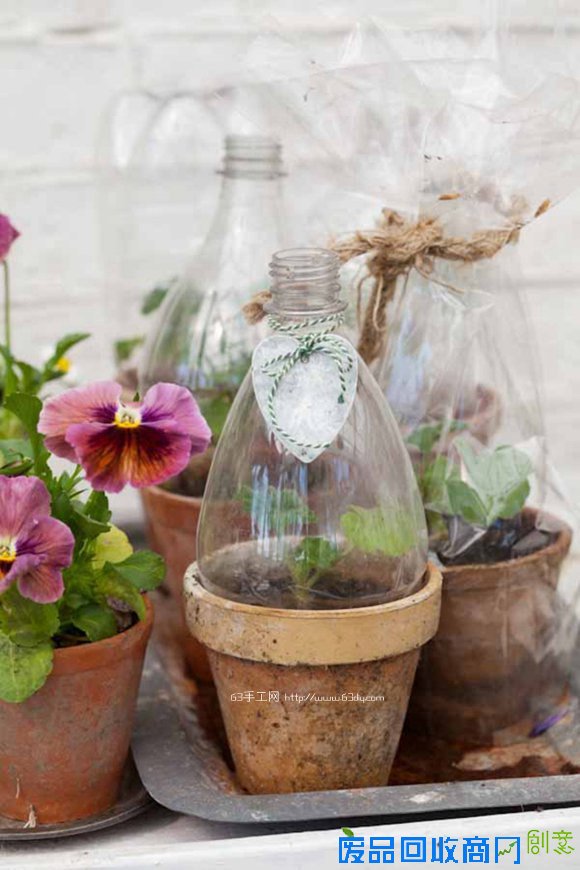 饮料瓶变废为宝手工制作创意卡通花盆6