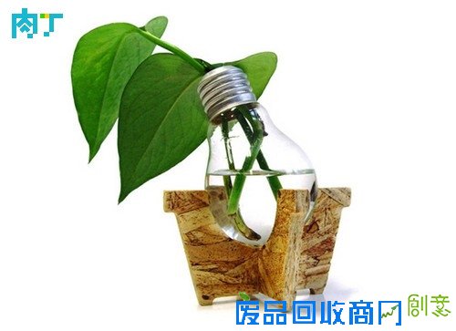 废旧酒瓶子还能做什么用?将废旧酒瓶改造成花盆的步骤图解╭★肉丁园艺网