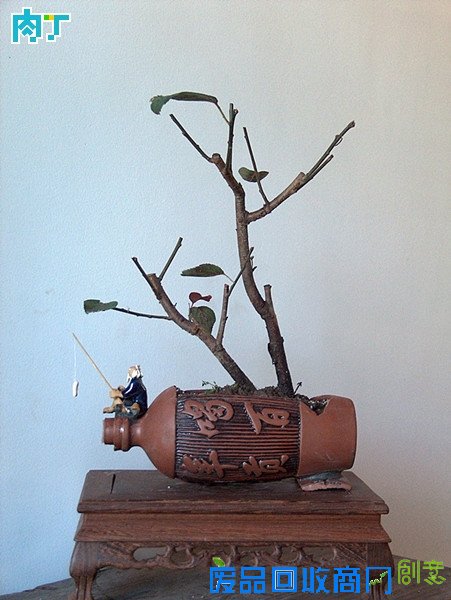 废旧酒瓶子还能做什么用?将废旧酒瓶改造成花盆的步骤图解╭★肉丁园艺网