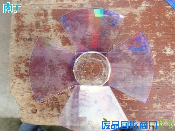 废旧酒瓶子还能做什么用?将废旧酒瓶改造成花盆的步骤图解╭★肉丁园艺网