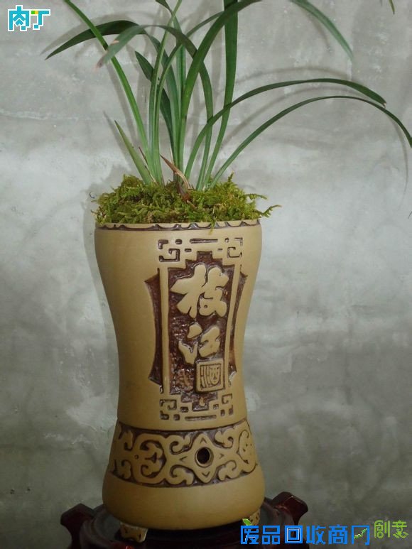 废旧酒瓶子还能做什么用？将废旧酒瓶改造成花盆的步骤图解╭★肉丁园艺网