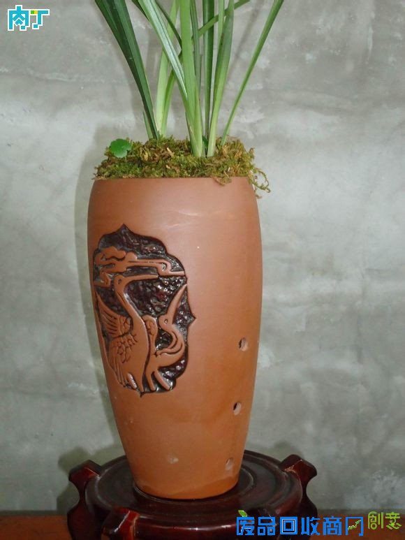 废旧酒瓶子还能做什么用？将废旧酒瓶改造成花盆的步骤图解╭★肉丁园艺网