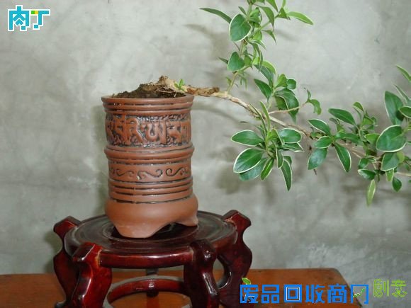 废旧酒瓶子还能做什么用？将废旧酒瓶改造成花盆的步骤图解╭★肉丁园艺网