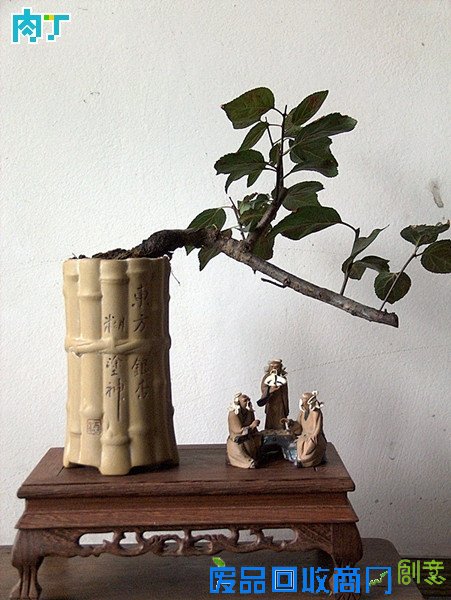 废旧酒瓶子还能做什么用？将废旧酒瓶改造成花盆的步骤图解╭★肉丁园艺网