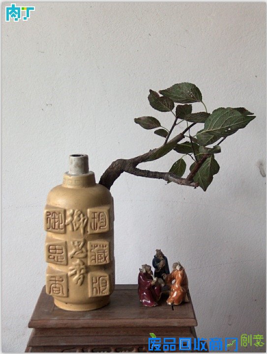 废旧酒瓶子还能做什么用？将废旧酒瓶改造成花盆的步骤图解╭★肉丁园艺网