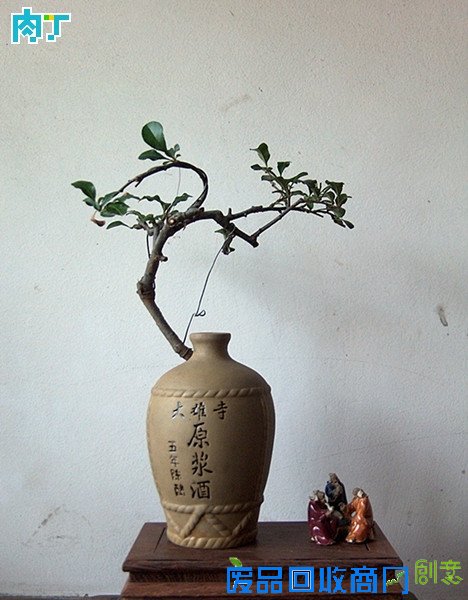 废旧酒瓶子还能做什么用？将废旧酒瓶改造成花盆的步骤图解╭★肉丁园艺网