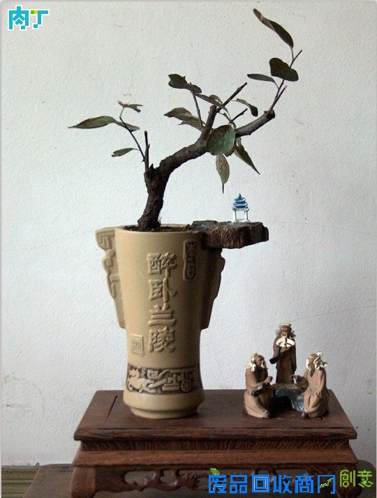 废旧酒瓶子还能做什么用？将废旧酒瓶改造成花盆的步骤图解╭★肉丁园艺网