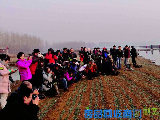 鹤壁山城区鹤鸣湖风好水美 引众多摄影爱好者齐聚
