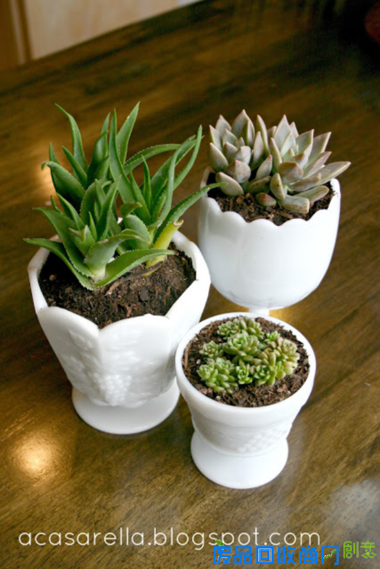 巧用杯子打造创意家居