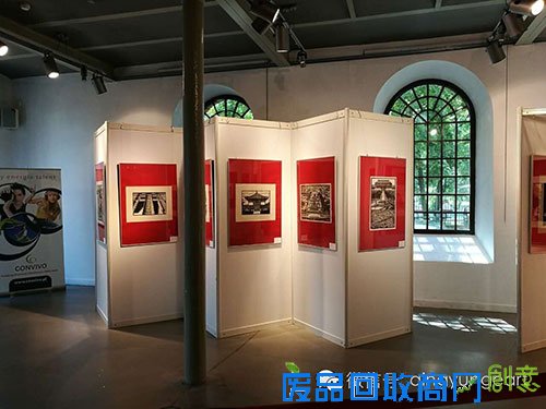 波兰青少年痴迷中国剪纸艺术