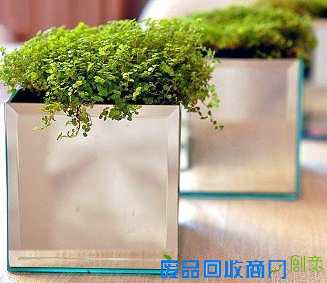 废物利用手工小制作-创意花盆