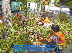 城市“美容师” 辛劳扮靓城市