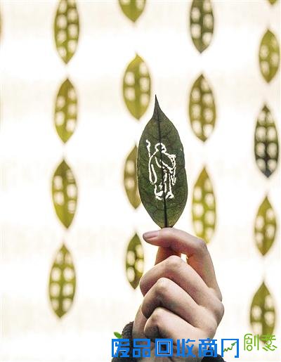 漯河2名大学生树叶上雕刻出精美图案 想象力丰富