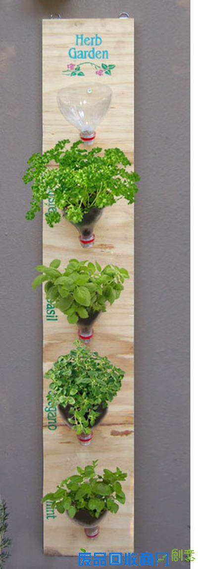 怎么用塑料可乐瓶种花