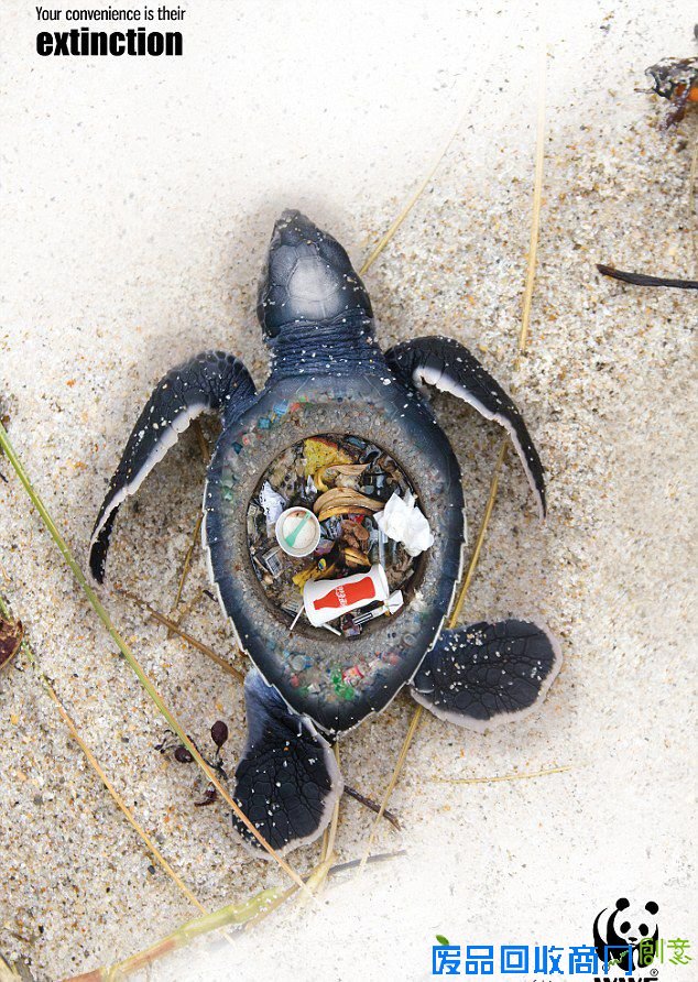 美男子创作图片揭露海洋垃圾危害