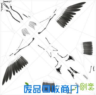 小山带你看：对折纸折出解剖结构透明模型