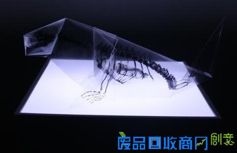小山带你看：对折纸折出解剖结构透明模型