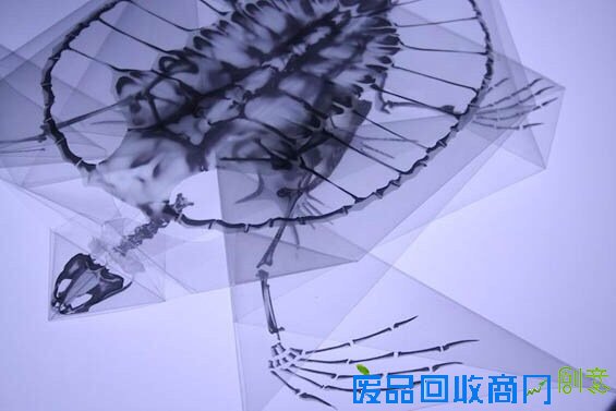 小山带你看：对折纸折出解剖结构透明模型