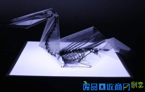 小山带你看：对折纸折出解剖结构透明模型