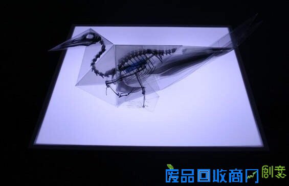 小山带你看：对折纸折出解剖结构透明模型