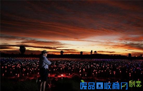 5000多盏磨砂玻璃灯彻底改变了澳大利亚内陆艾尔斯岩的风貌