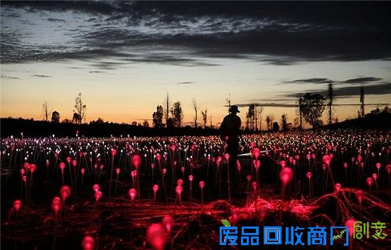 5000多盏磨砂玻璃灯彻底改变了澳大利亚内陆艾尔斯岩的风貌