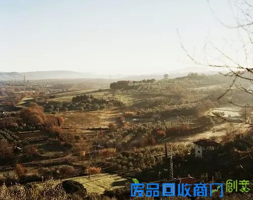 Andrea Brugi的木头世界