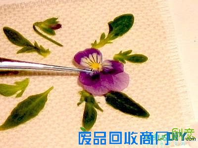 押花十字绣布杯垫的做法(第1页)