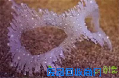 你绝对想不到“热熔胶枪”竟然是手工法宝!