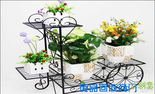 【阳台花架】阳台花园装修效果图