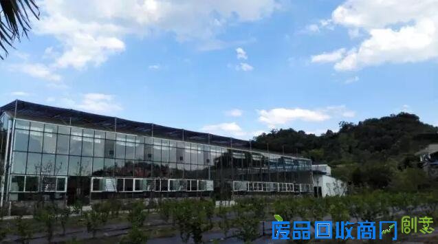 探城16｜追梦女开了重庆唯一一座台湾风情农场 