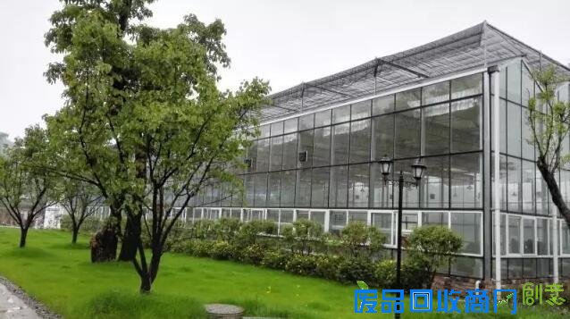 探城16｜追梦女开了重庆唯一一座台湾风情农场 