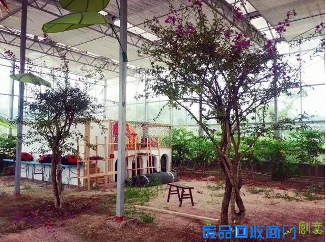 探城16｜追梦女开了重庆唯一一座台湾风情农场 