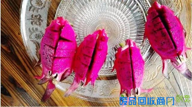 探城16｜追梦女开了重庆唯一一座台湾风情农场 