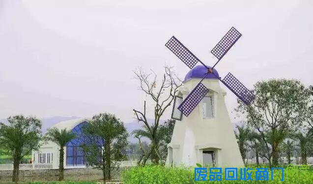 探城16｜追梦女开了重庆唯一一座台湾风情农场 