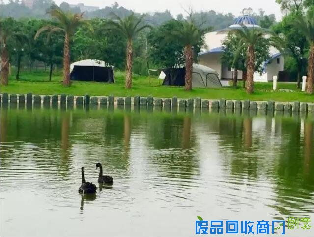 探城16｜追梦女开了重庆唯一一座台湾风情农场 