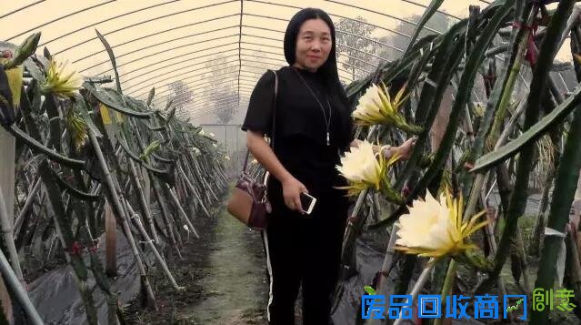 探城16｜追梦女开了重庆唯一一座台湾风情农场 