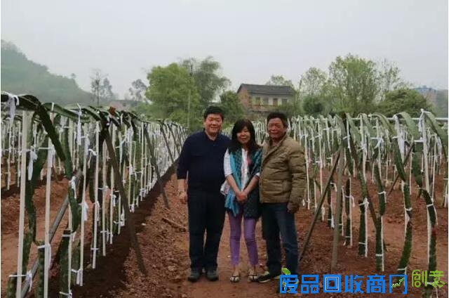 探城16｜追梦女开了重庆唯一一座台湾风情农场 