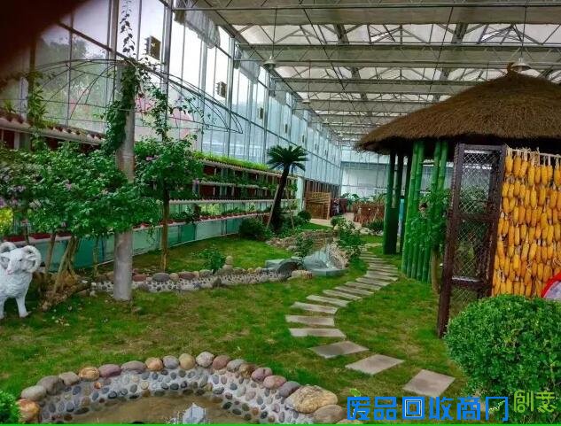 探城16｜追梦女开了重庆唯一一座台湾风情农场 