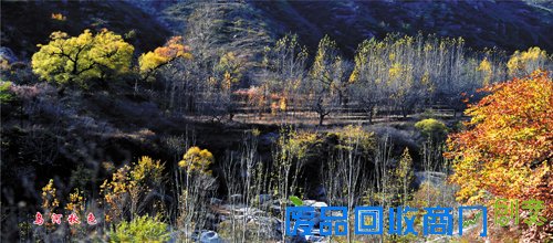 盂县举办书画摄影展庆重阳