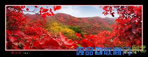 盂县举办书画摄影展庆重阳