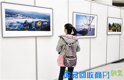 广西大画幅摄影作品展落幕 55幅精品凸显壮乡风情